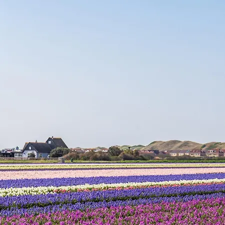 Vakantiehuis Zeebries - Aan Zee Vakantiehuis